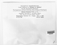 Image Associated With the Occurence